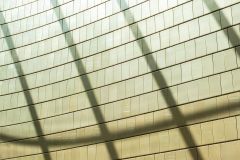 Lines