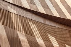 Warmed Wood Tones