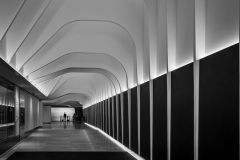 The Man at the of the Hallway