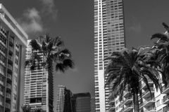 Architectural Delight
