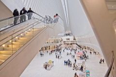 Oculus Centre