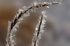 Frozen Fraktals
