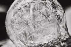 Frozen in Time