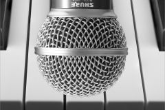 A Shure Thing