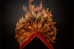 Flickering Pages of Passion