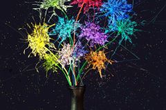 Fireworks Bouquet