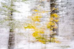Winter Begins