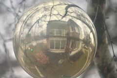 Tree House