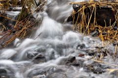 Spring Runoff
