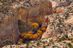 Hidden Canyon