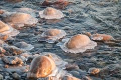 Ice Caps Lake Ontario
