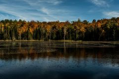 Wetlands on the Canadian Shield