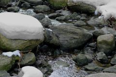 Pinecreek in Snow