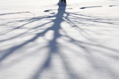 Shadow Dancing