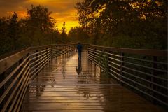 Twilight Stroll