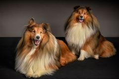 Best Friends