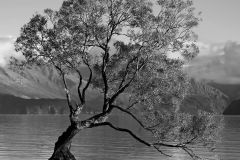 Evening Solitude
