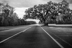 Georgia Backroads