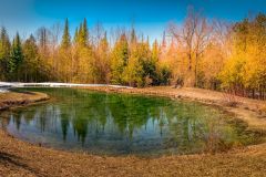 Reflection Pond