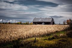 A Changing of Seasons