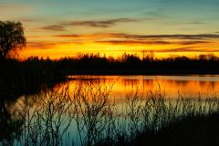 Pond at First Light