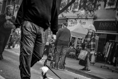 Street Festival Enthusiast