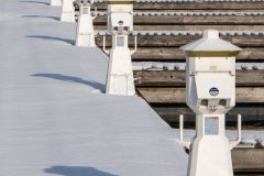 Sentries on Wharf