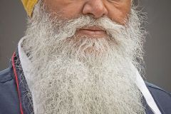 Hadrami