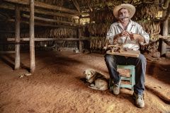 One Man and His Dog