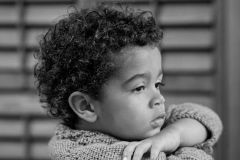 Pondering Life