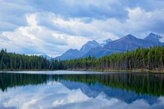 Herbert Lake