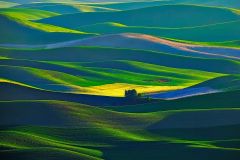 Wheat Fields