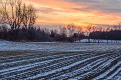 Winter Fields at Rest