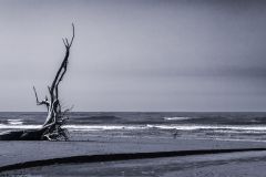 Washed Up