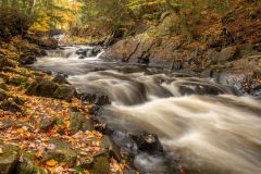 Brooks Falls in October