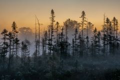 Muskoka Sunrise