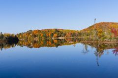 Autumn Reflections