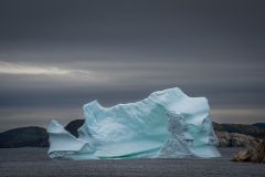 Merritt's Harbour Iceberg