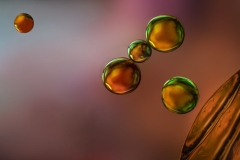 Oil and Water Transparency