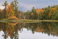 Fall Colours Ohara Conservation Park