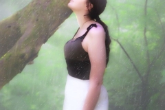 Rain Forest