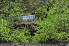 Faded Ford