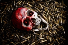 The Cruel War