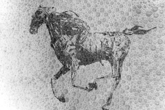 Seahorse