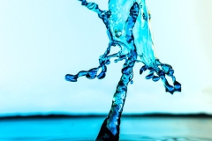 Liquid Tree