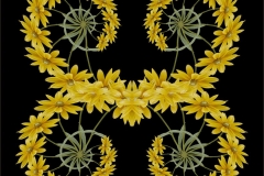 Mellow Yellow