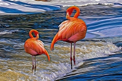 Flamingos in Winter