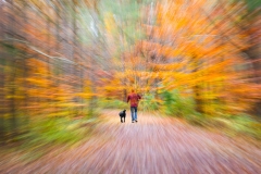 Going for a Walk