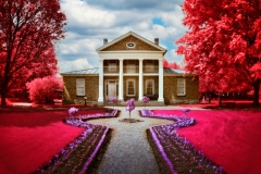 Scarlet Enchantment