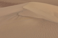 Desert Texture